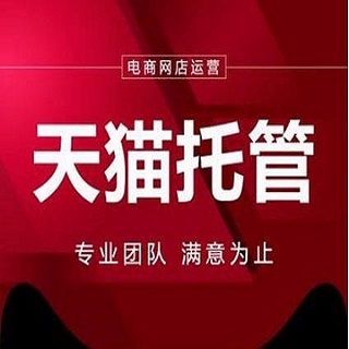 天貓代運(yùn)營(yíng)